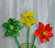 glass flowers