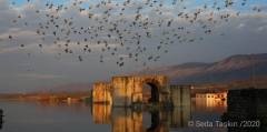 hasankeyf2