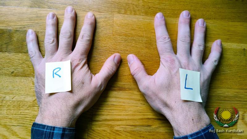 hands