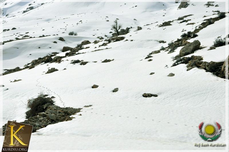 The Beautiful Nature of Kurdistan